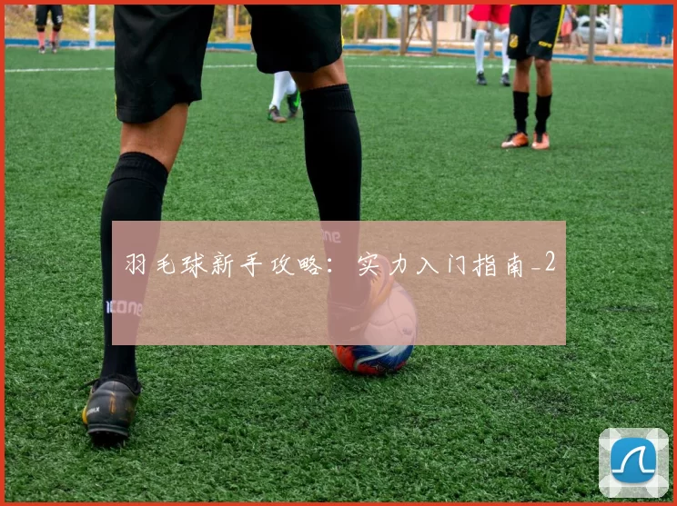 羽毛球新手攻略：实力入门指南_2
