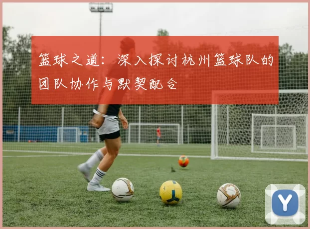 篮球之道：深入探讨杭州篮球队的团队协作与默契配合