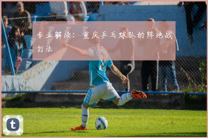 专业解读：重庆乒乓球队的阵地战打法