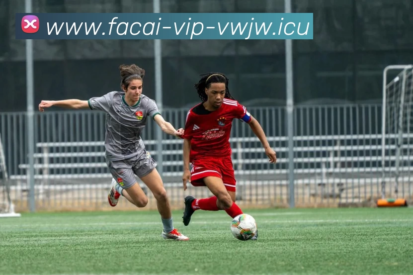 米兰体育品牌故事