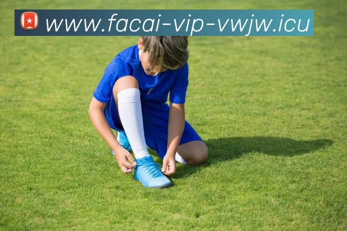 米兰体育服务体系